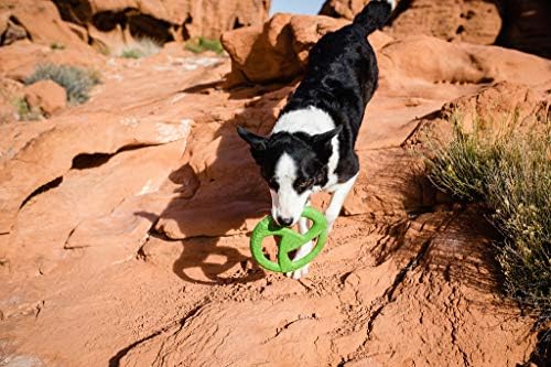УО Wild + Play За кучета от всички големи породи, Здрави, направени в САЩ Плюшени играчки и Фризби, Комбиниран комплект, Лъв и Зелен Диск